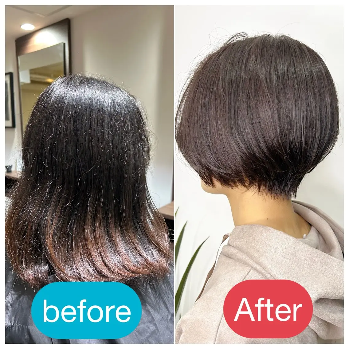 ショート ラベンダーベージュ 縮毛矯正 /伊藤はるかのヘアスタイル