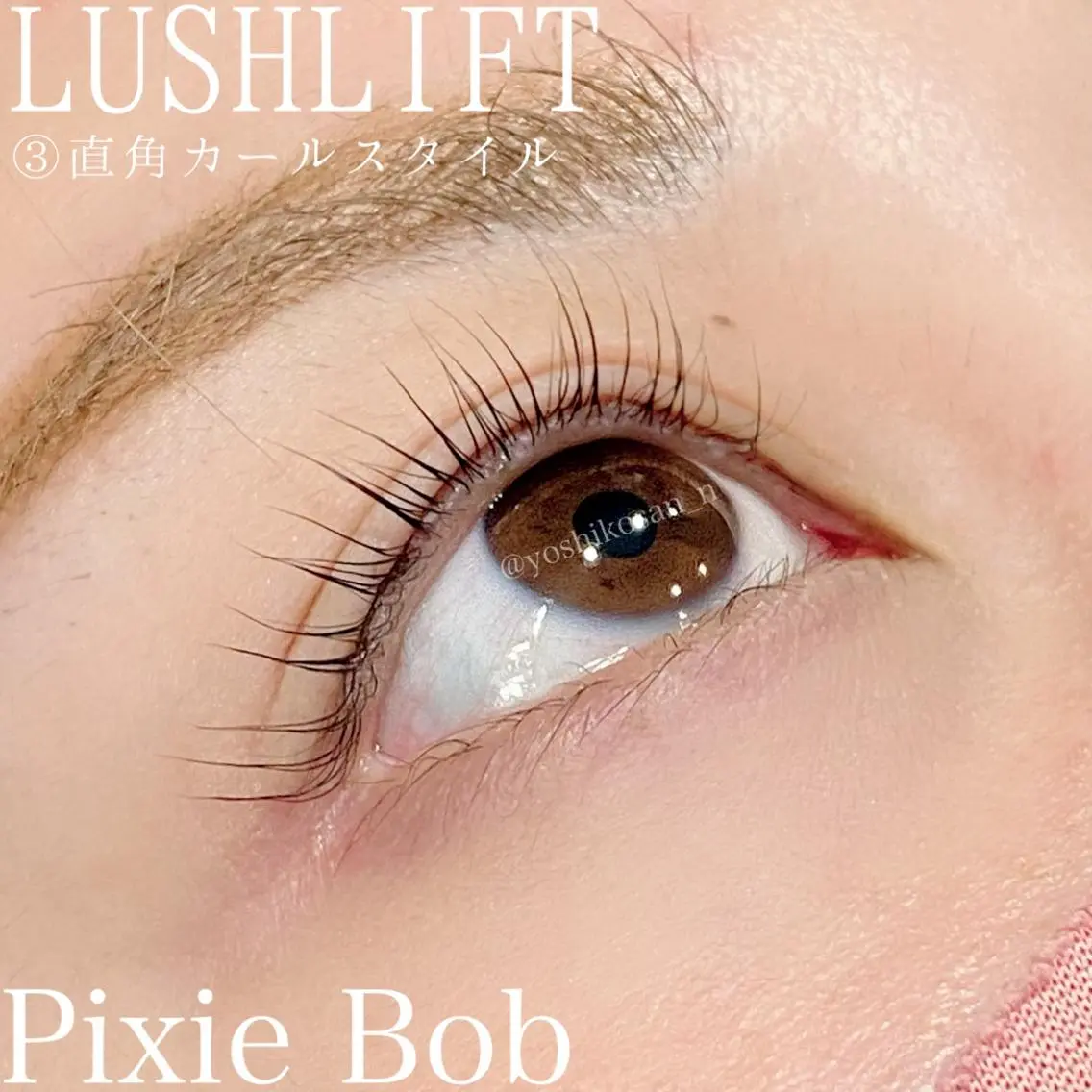マツエク・マツパ カラーマツエク Pixie Bob 🐈‍⬛　位田のマツエク・マツパデザイン