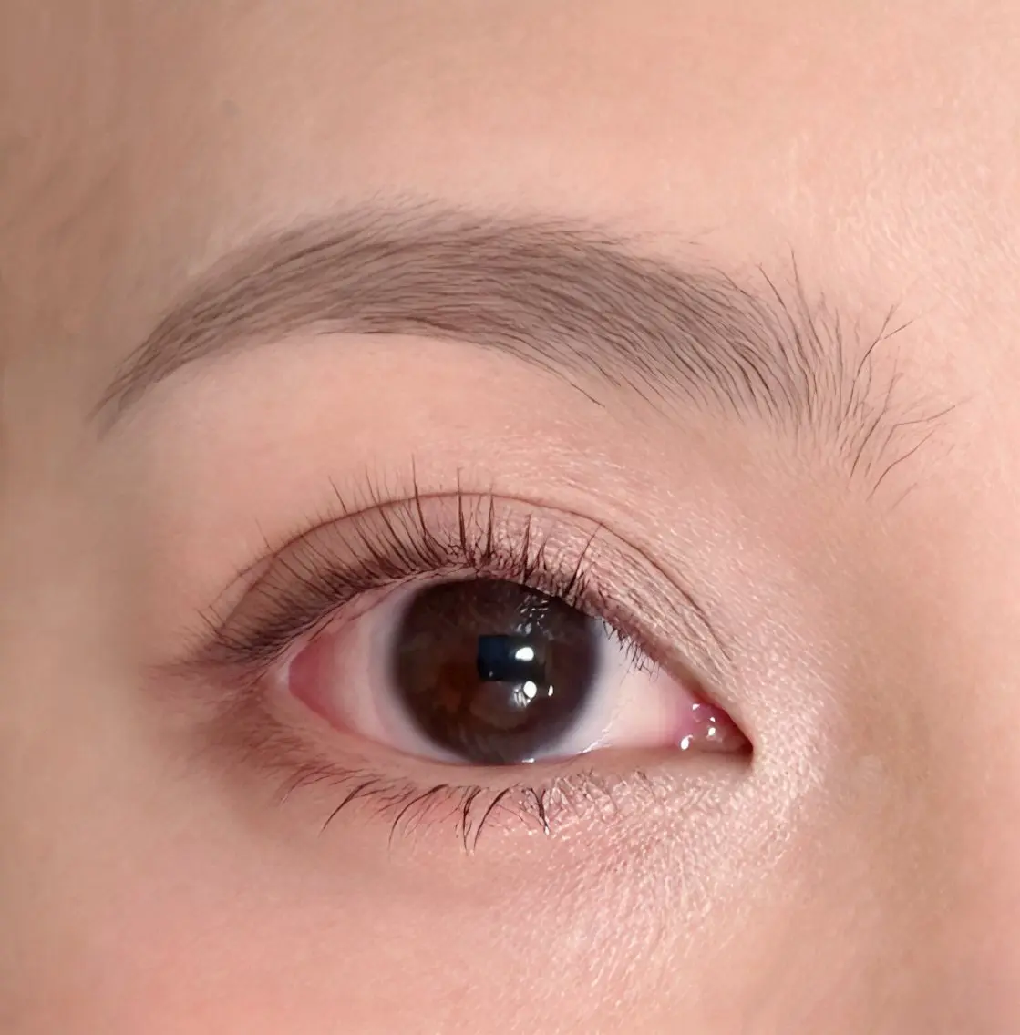 【黄金比×似合わせデザイン🎀】眉WAX👀✨の写真