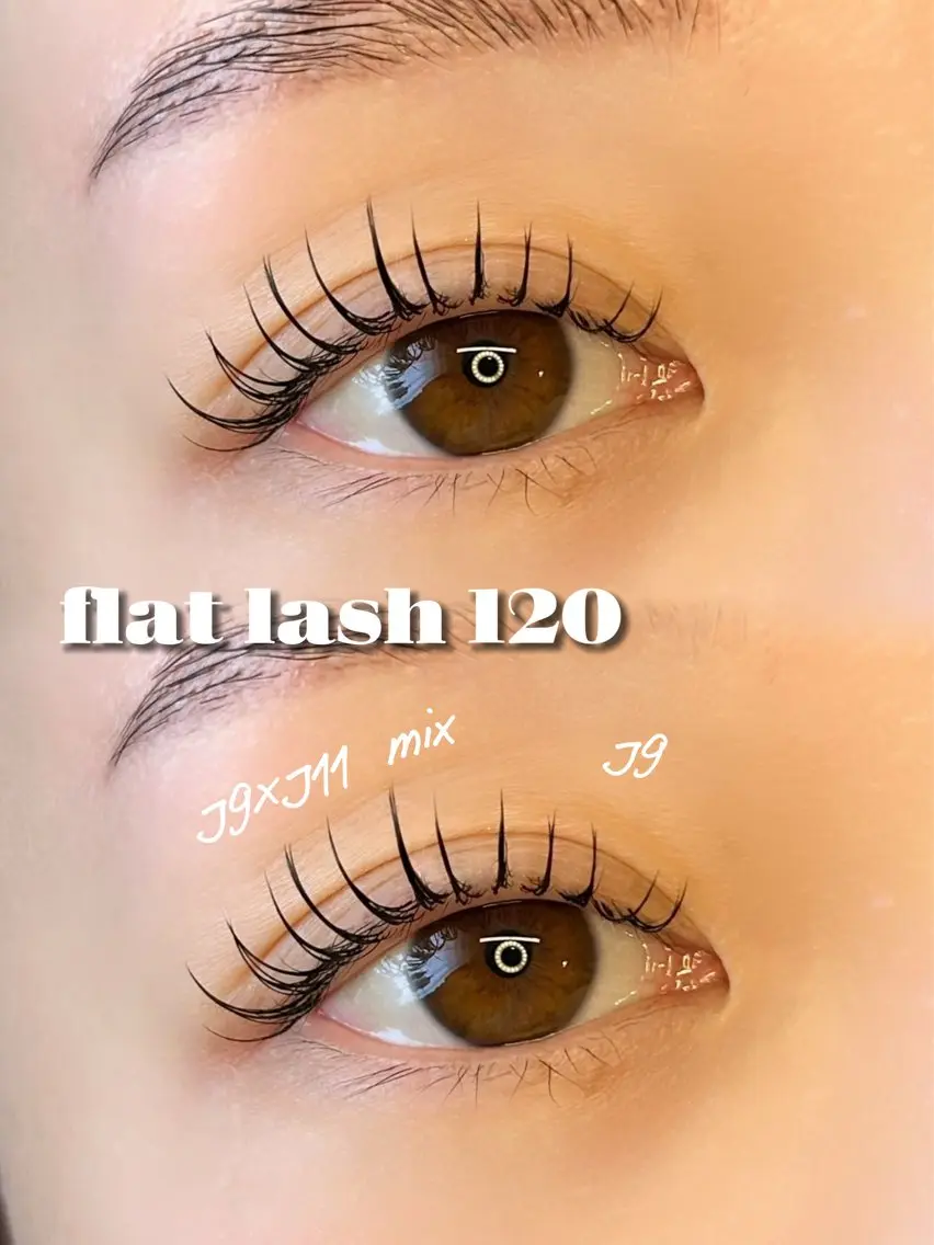 フラットラッシュ120本の写真