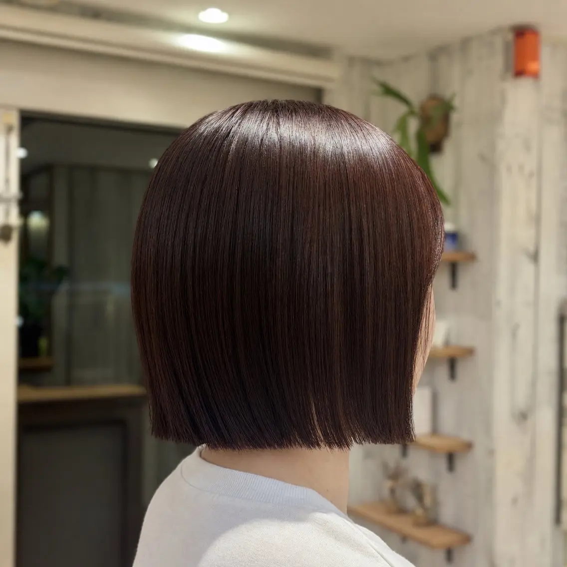 カラー ヘアカラー カラーモデル募集中 / KOTONEのヘアスタイル