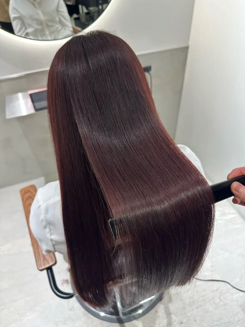 ロング カラー カット ヘアカラー トリートメント 髪質改善 縮毛矯正/ レイヤー/銀座/本木のヘアスタイル