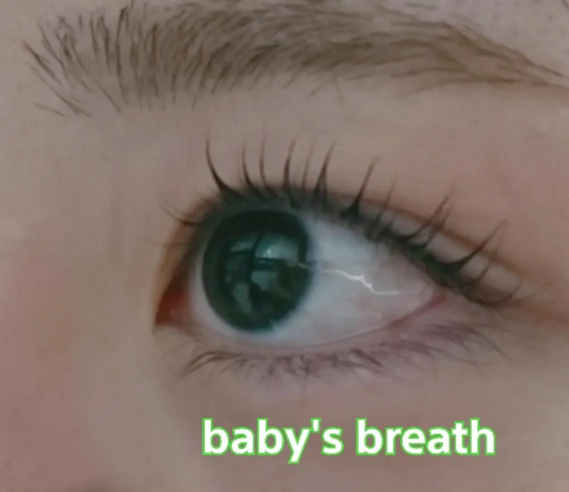 マツエク・マツパ baby's breathのマツエク・マツパデザイン