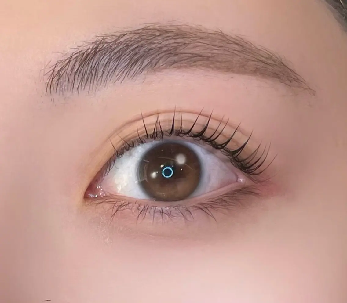 【同時施術✮*。゚】🩵束感まつげパーマ+美眉WAX(アイブロウワックス)🩵の写真