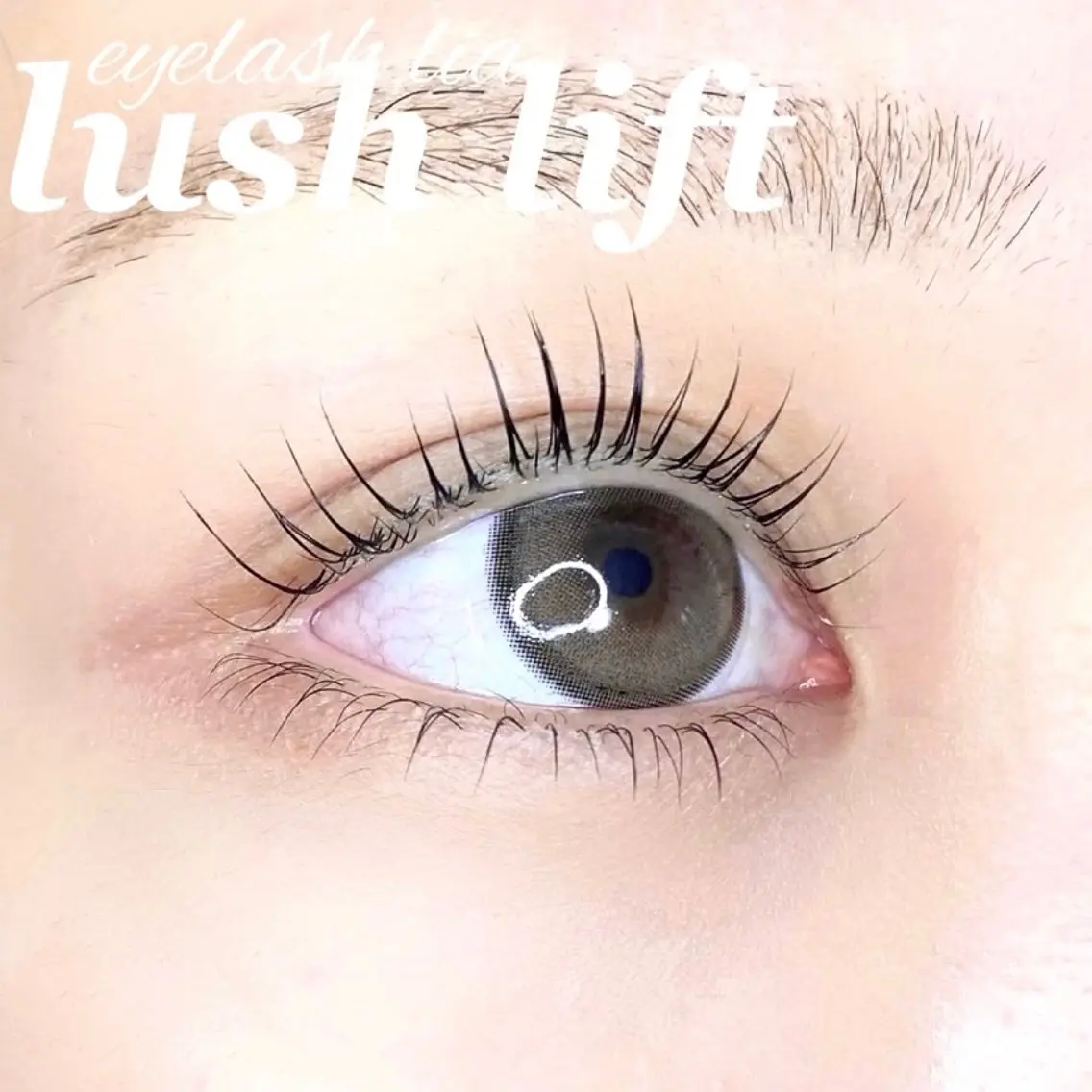 【🉐ミニモ限定価格🉐】まつ毛パーマ👀🫧の写真