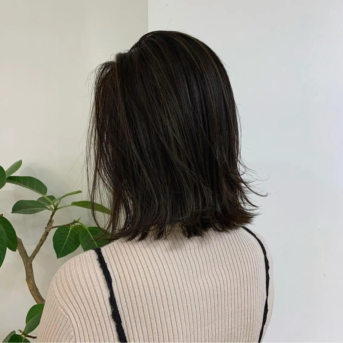 ミディアム カラー ハイライトカラー ハイライト カット 縮毛矯正 fit /HONOKAのヘアスタイル
