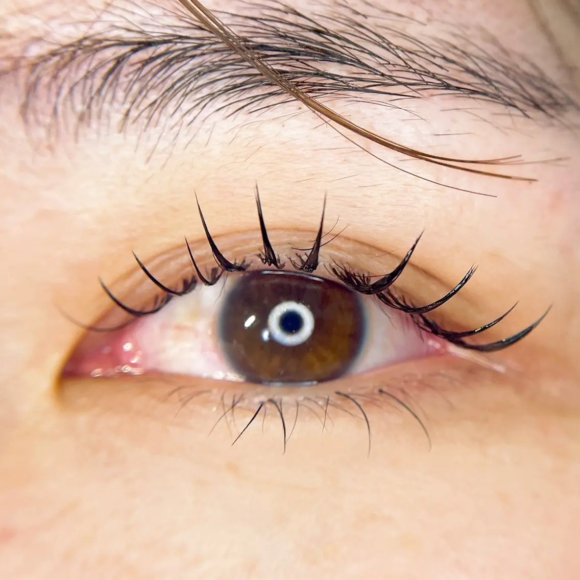 マツエク・マツパ マツエク MARL eyelash大川のマツエク・マツパデザイン