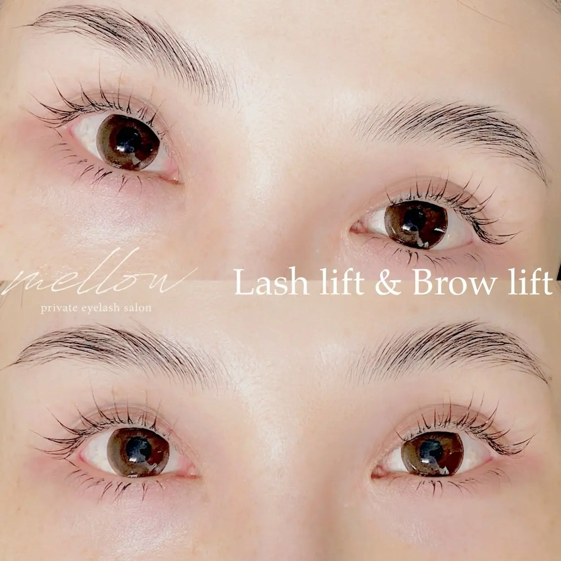 マツエク・マツパ mellow eyelashのマツエク・マツパデザイン