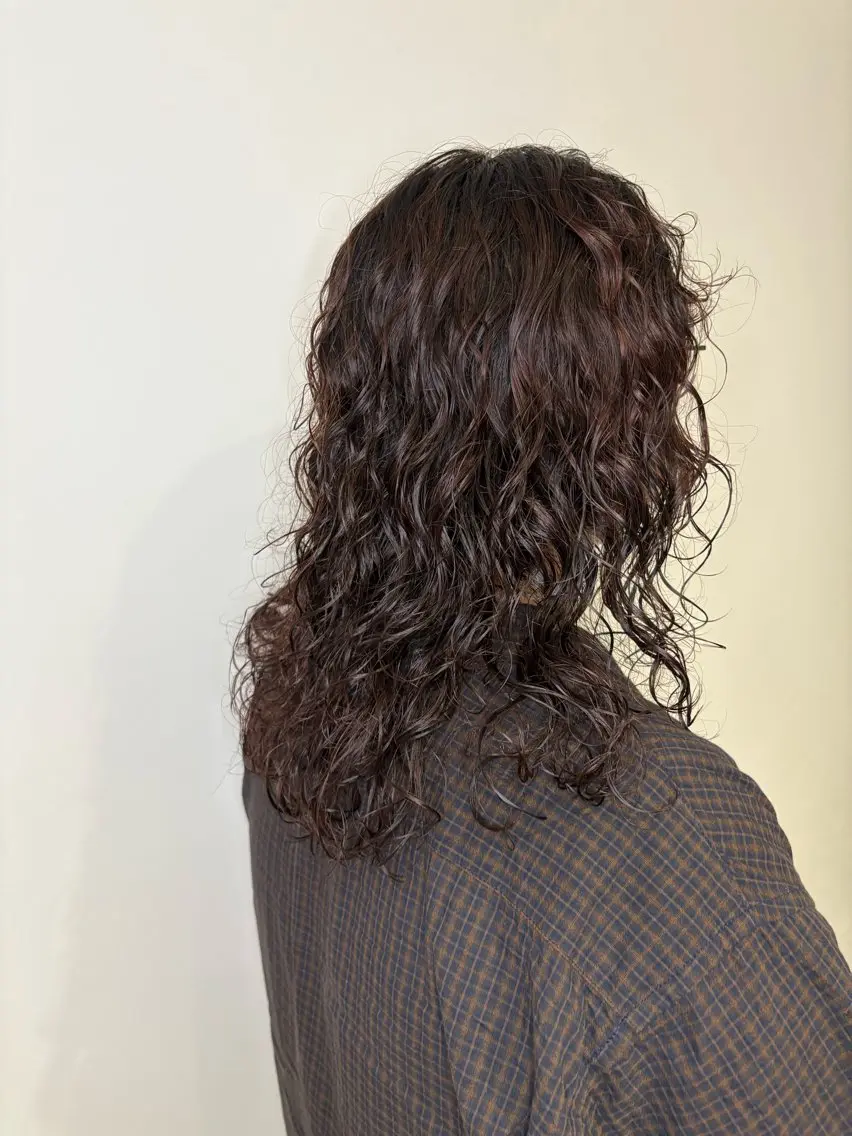 ミディアム カラー パーマ ミディアムパーマ ボルドーカラー くせ毛 スパイラルパーマ ヘアカラー ハイライト/ パーマ/志賀のヘアスタイル