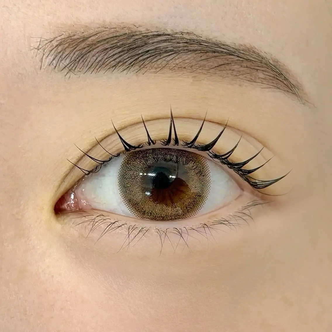 マツエク・マツパ 🍒Yui 🍒eyelashの眉毛・アイブロウイメージ