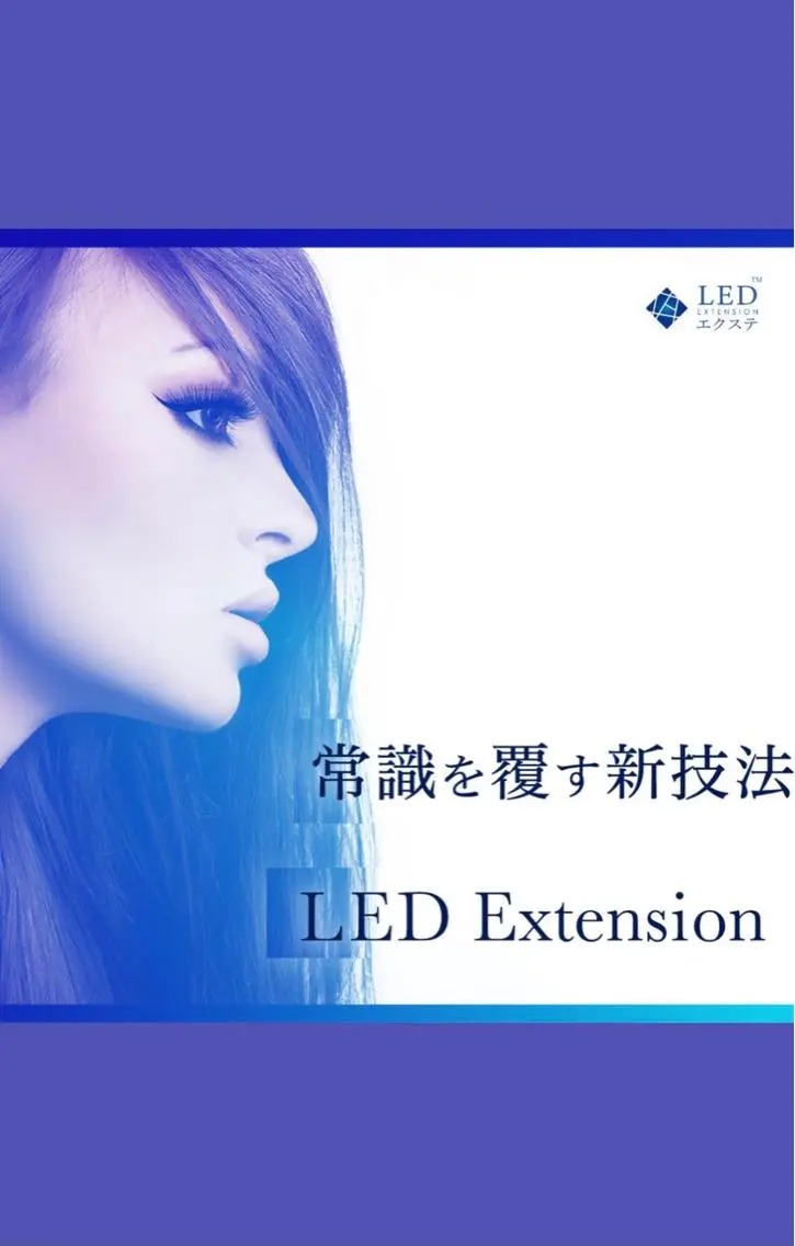 オフ込み🪴LEDダブルフラットラッシュ100束（200本）の写真