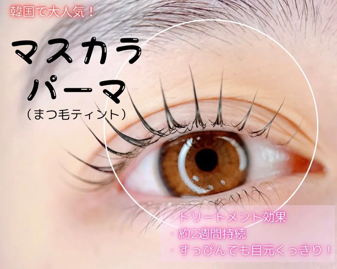 大好評✨『マスカラパーマ』【韓国発ブラックティント】の写真