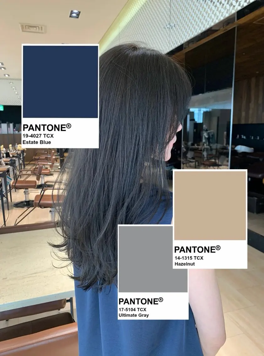 ロング カラー 黒髪 透明感カラー グレージュ ネイビーカラー 瑞希 / GINZA assistantのヘアスタイル