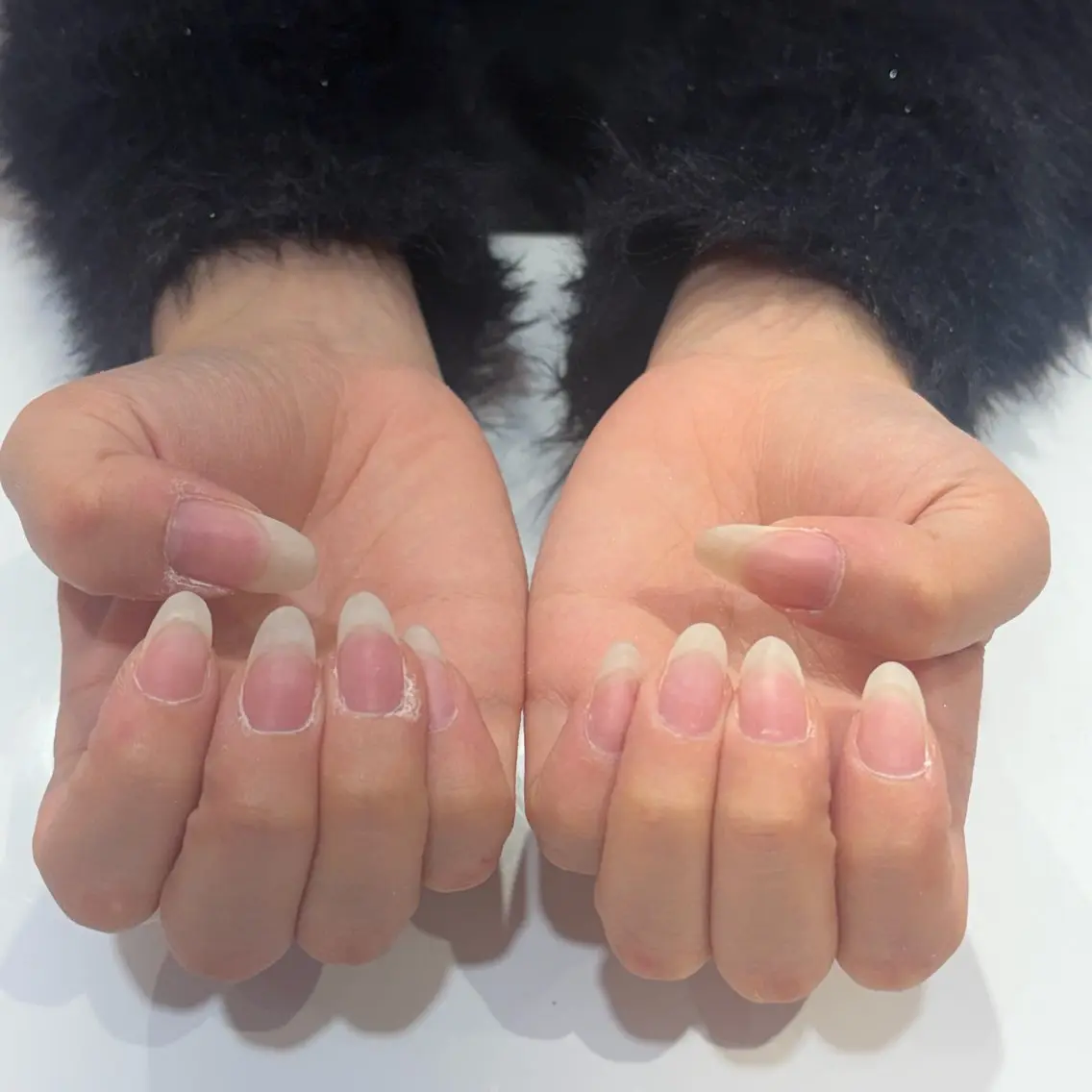 ネイル SHELL NAIL ホノカ🤍のネイルデザイン