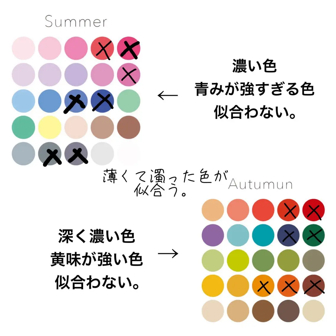 shistyle ミポTのその他イメージ