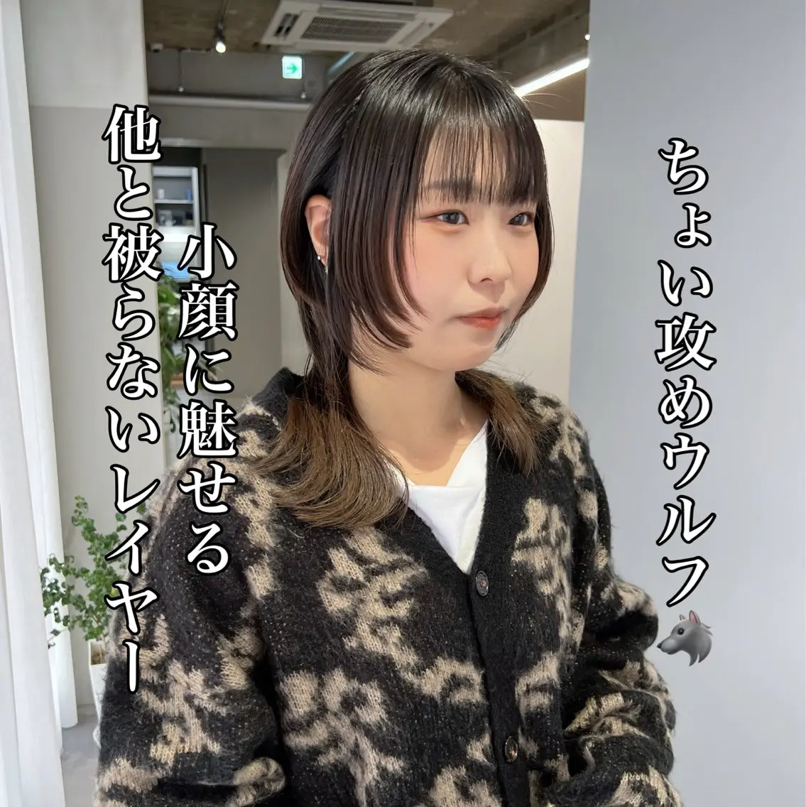 ミディアム 🐺立川のウルフ屋 さん🐺おかみ🐺のヘアスタイル