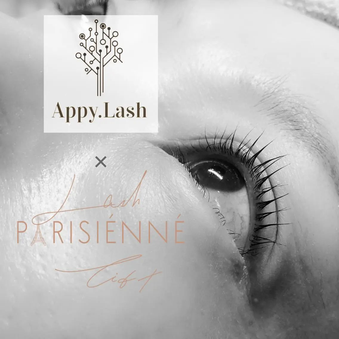 マツエク・マツパ まつげと眉の専門店 Appy.Lashのマツエク・マツパデザイン