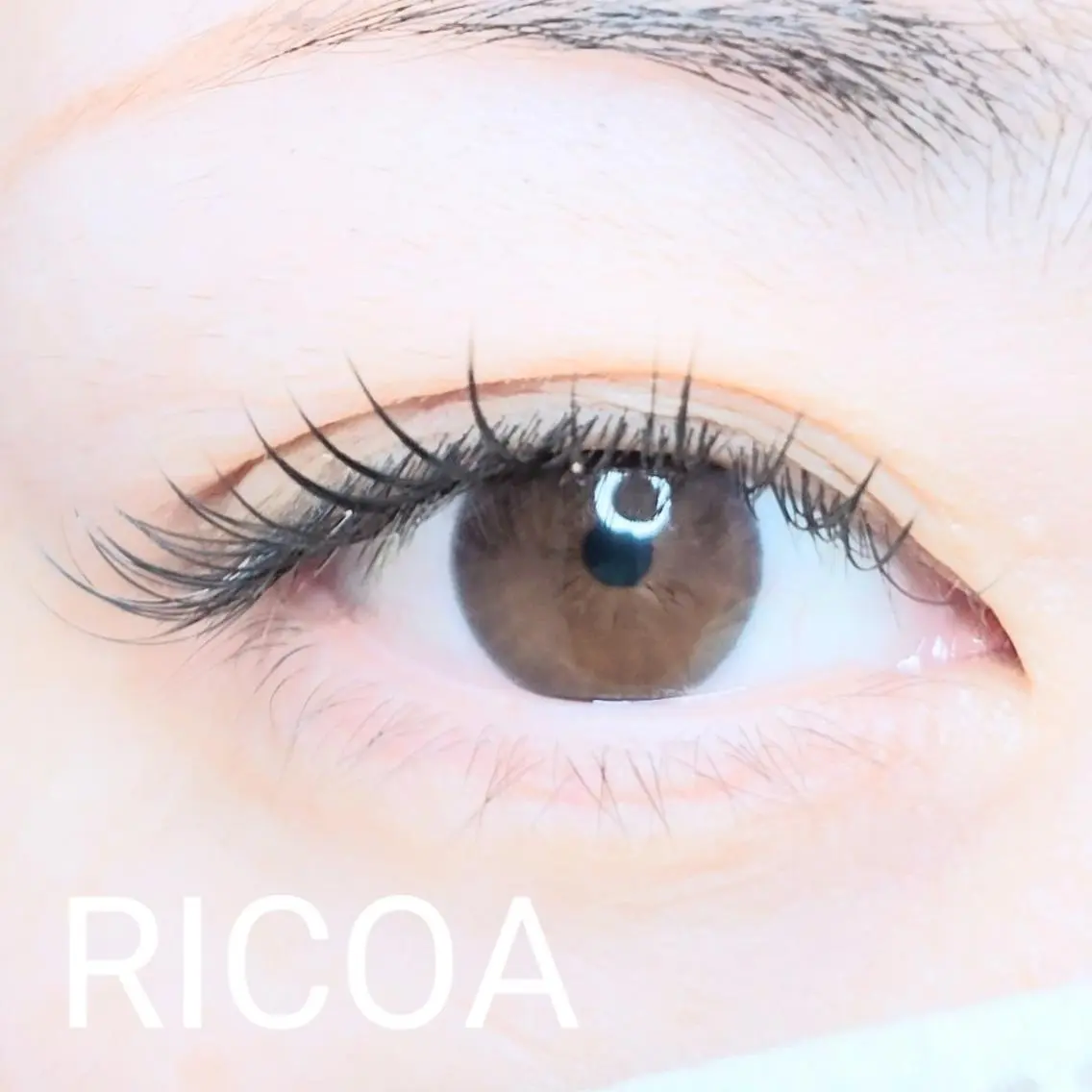 マツエク・マツパ フラットラッシュ RICOA 酒井のマツエク・マツパデザイン
