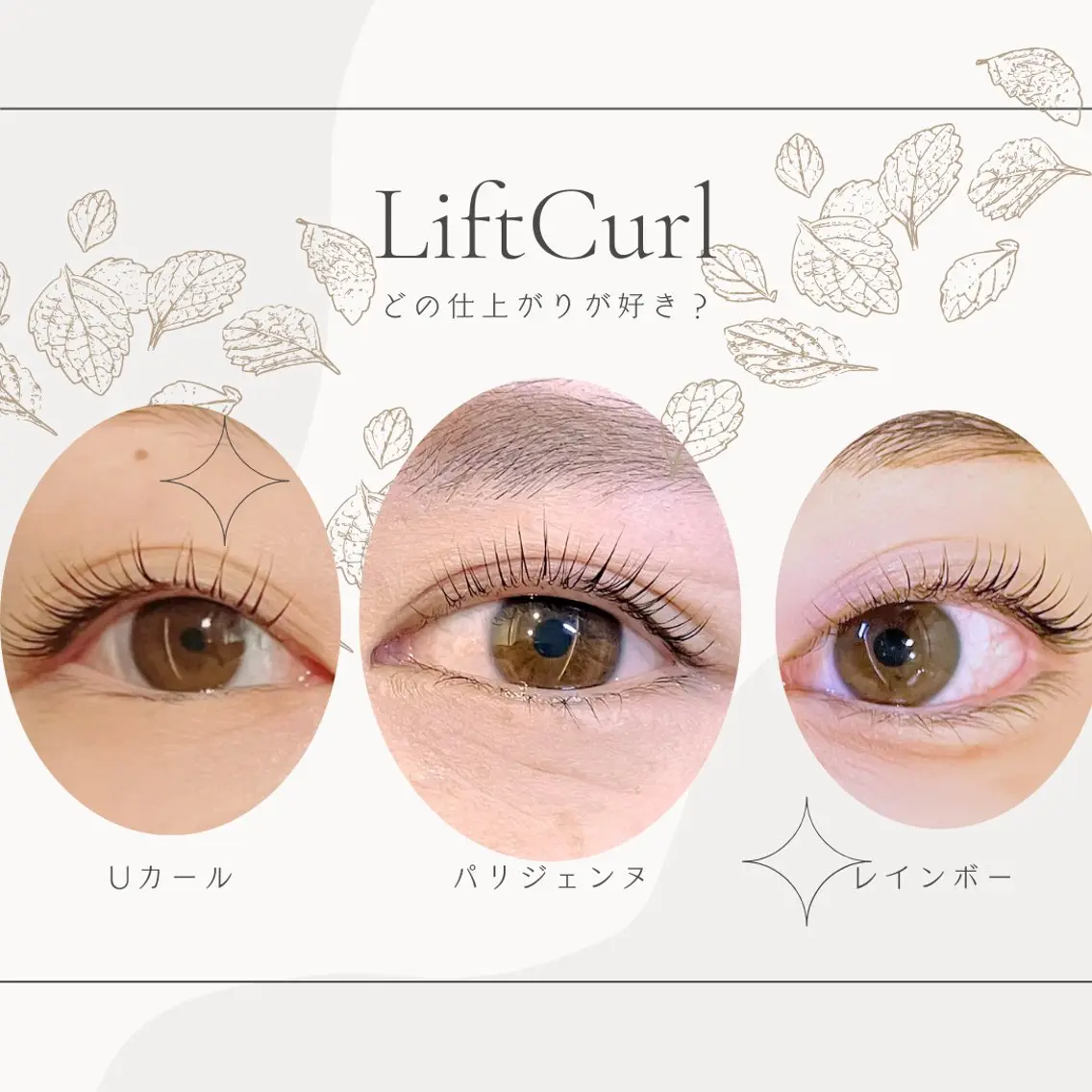 マツエク・マツパ 【ダメージケア特化】 🌸 サクララッシュの眉毛・アイブロウイメージ