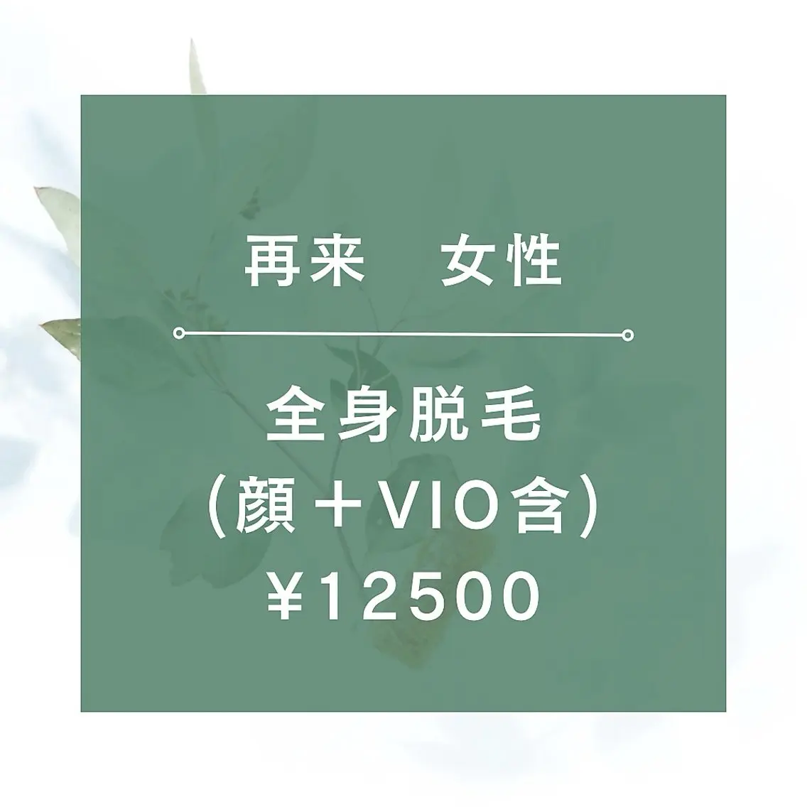 【再来女性】★☆全身脱毛(全顔+VIO含)¥12500★90分の写真
