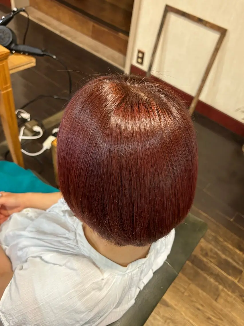 〖新規限定✨〗暖色❤️寒色💙中間色💜プレミアムカラー+oggimuta💛の写真
