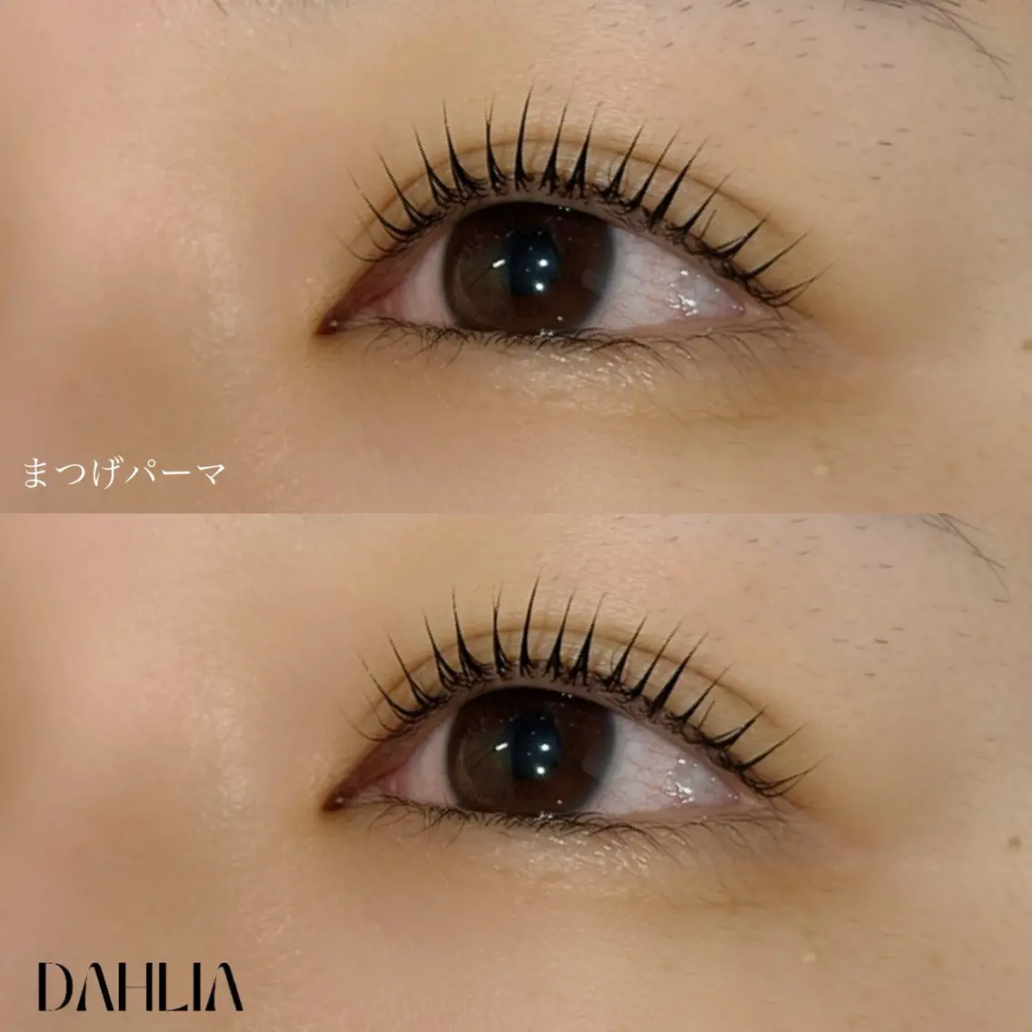 マツエク・マツパ まつげパーマ Dahliaダリア 斉藤のマツエク・マツパデザイン