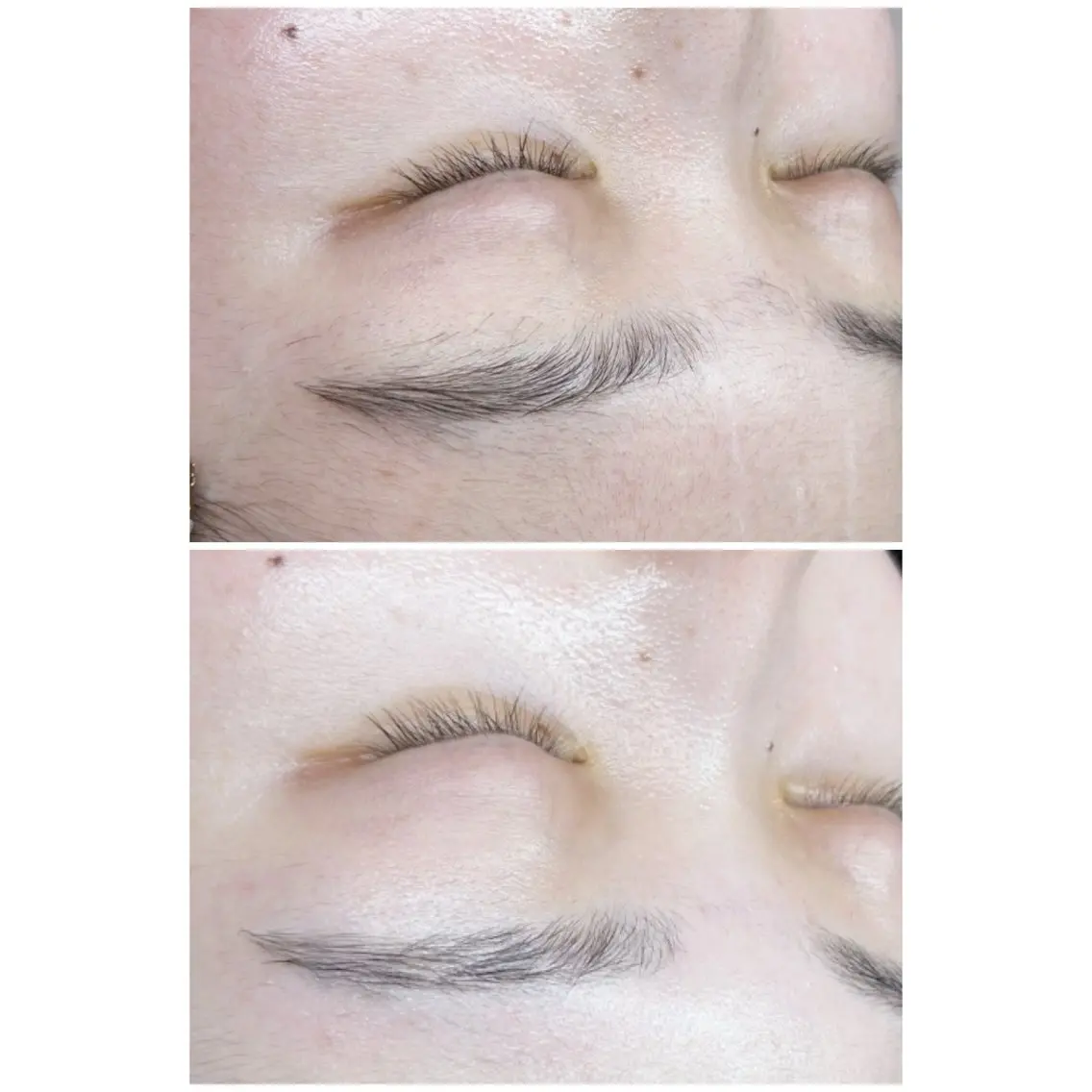 アイブロウ Ele’na eyebrowの眉毛・アイブロウイメージ