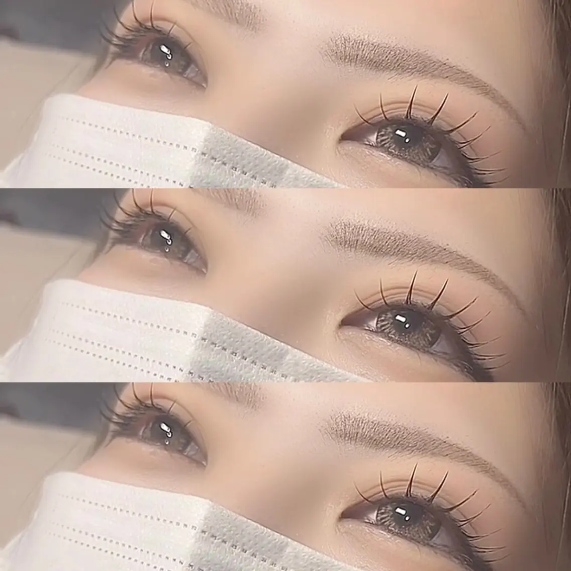 セーブル130本🧡（オフあり）の写真