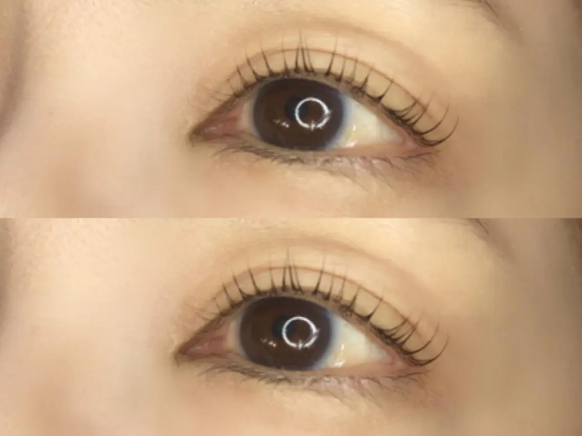 マツエク・マツパ 《eyelash ｉｉｔｅ》森のマツエク・マツパデザイン