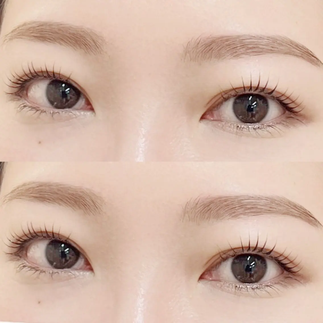 🍀期間限定🍀まつ毛パーマ×アイブロウ/眉wax脱毛💖の写真