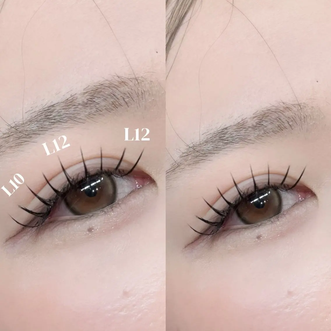 マツエク・マツパ JurerEye🎀 Shimadaのマツエク・マツパデザイン