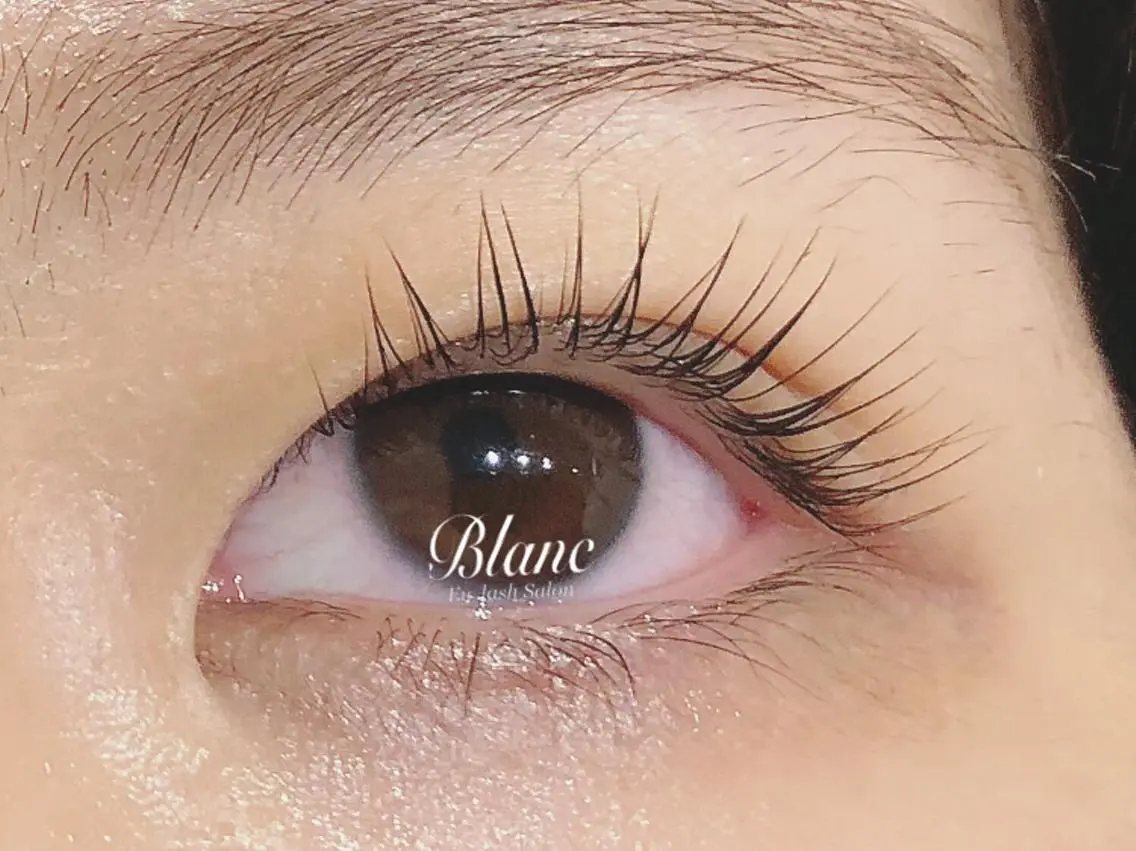 マツエク・マツパ パリジェンヌラッシュリフト Blanc 石川の眉毛・アイブロウイメージ