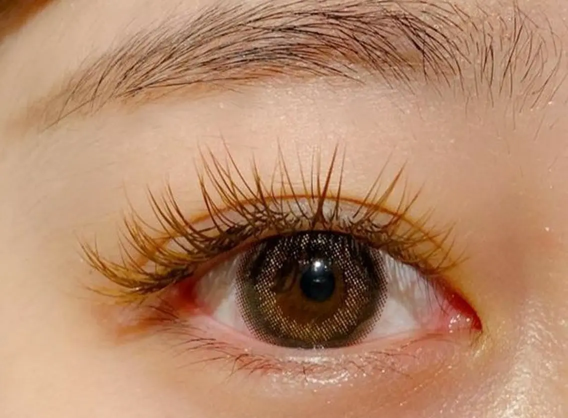 Flat lash 100本(オフ込)の写真