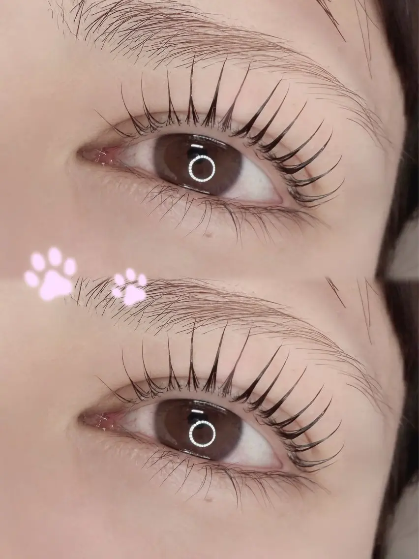 マツエク・マツパ 🎀ME-ME Ai🎀のマツエク・マツパデザイン