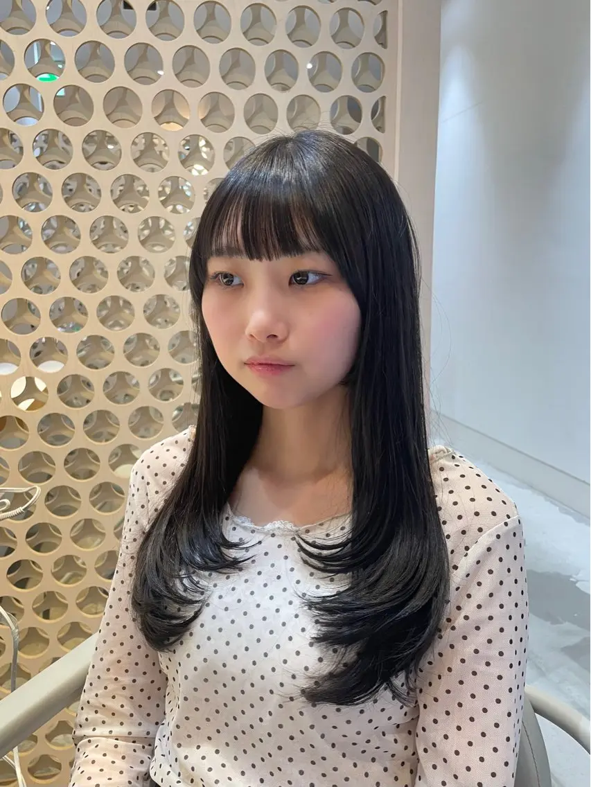ロング 韓国風ヘア レイヤーカット ワンホンヘア 🧸SAKI🎀 韓国レイヤーのヘアスタイル