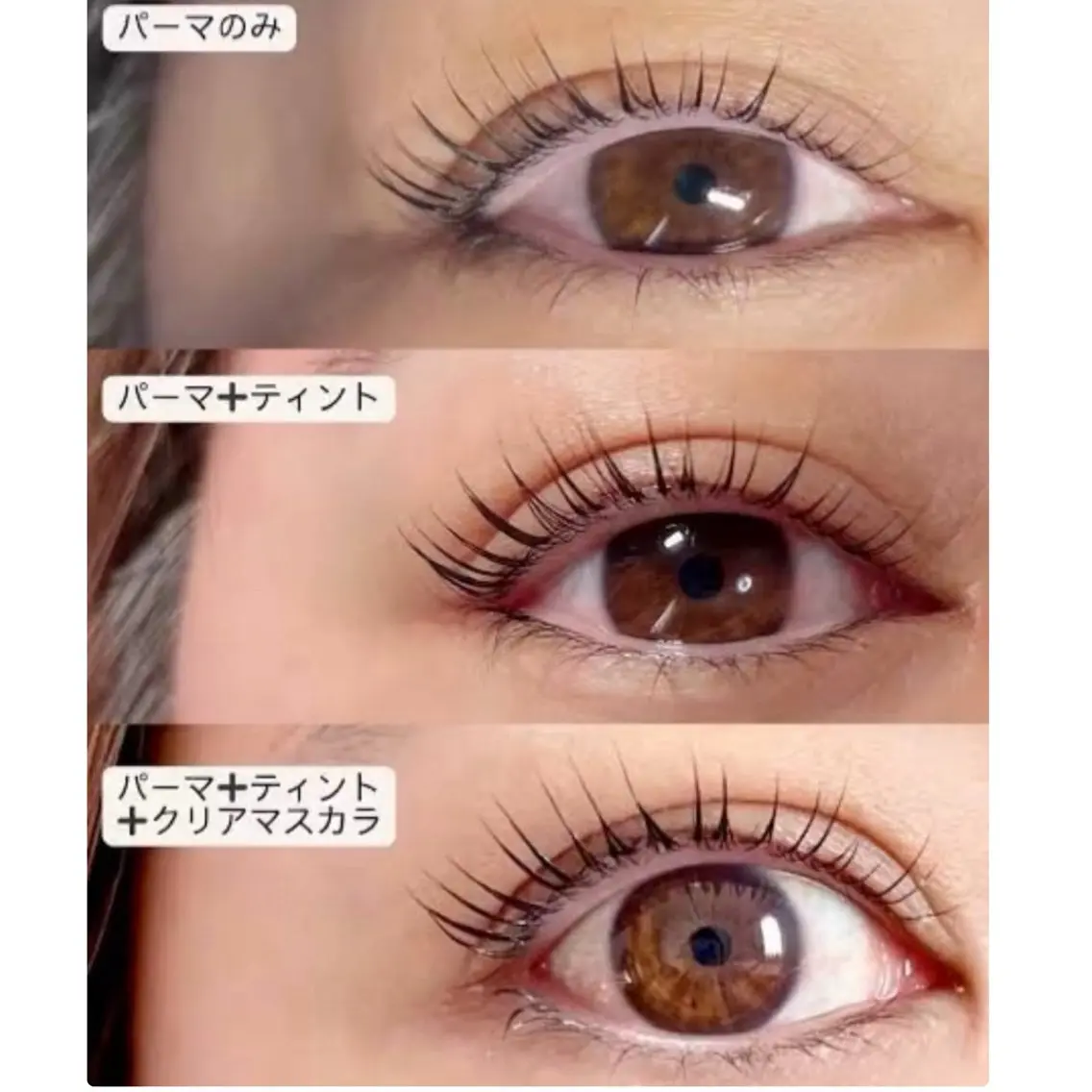 マスカラパーマ🇰🇷パリジェンヌラッシュリフトorまつげパーマの写真