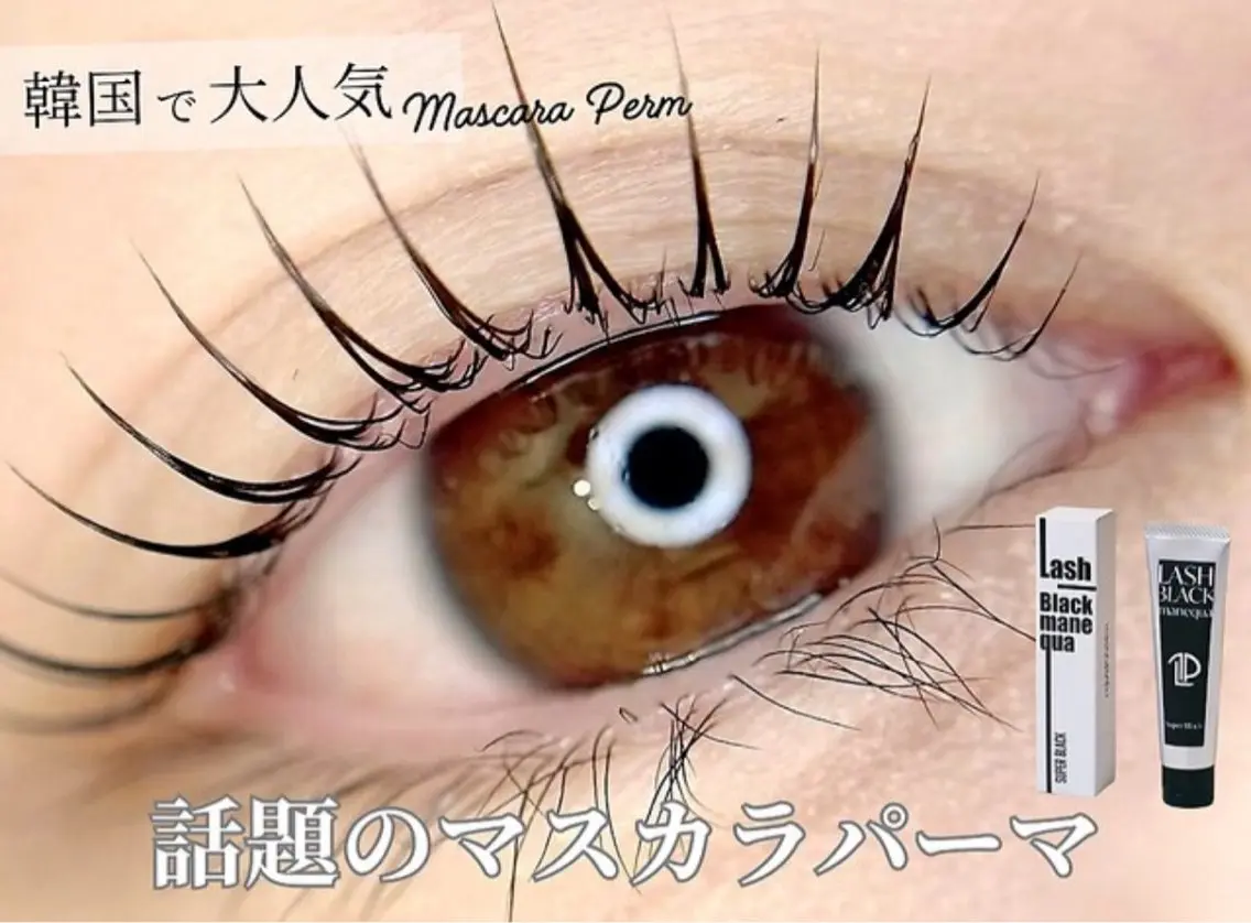 🥨まつ毛パーマ➕ブラックティント🥨⚠️現金不可の写真