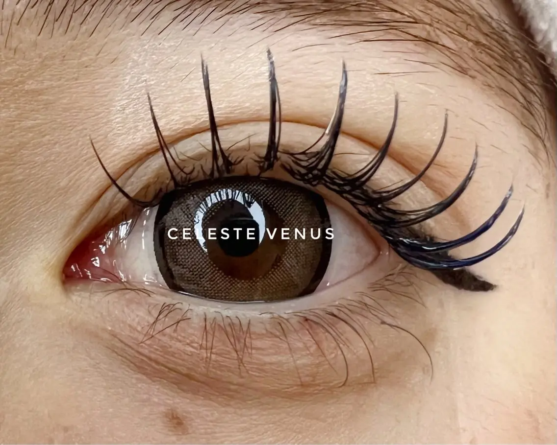 マツエク・マツパ 🧸Celeste Venusのマツエク・マツパデザイン