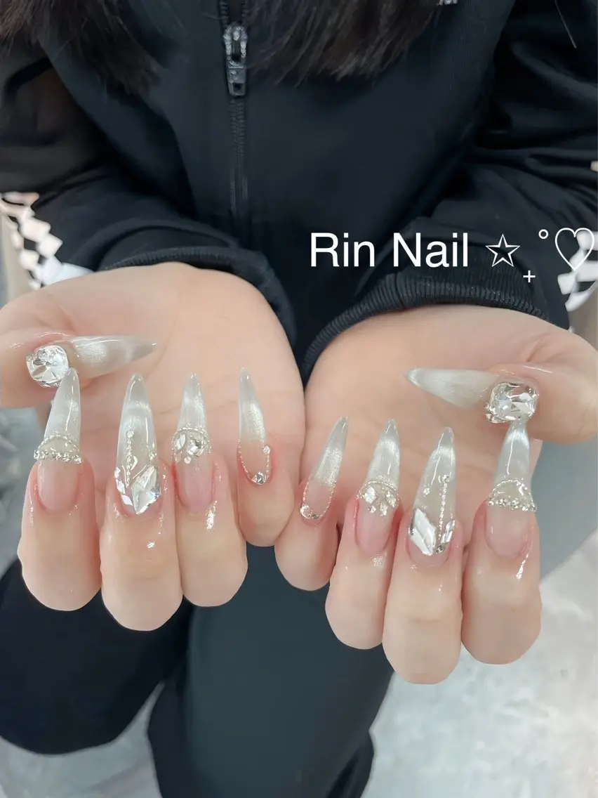 ネイル アートネイル チークネイル ジェルネイル ロングネイル マグネットネイル ハンドネイル Rin Nail 新大久保店のネイルデザイン