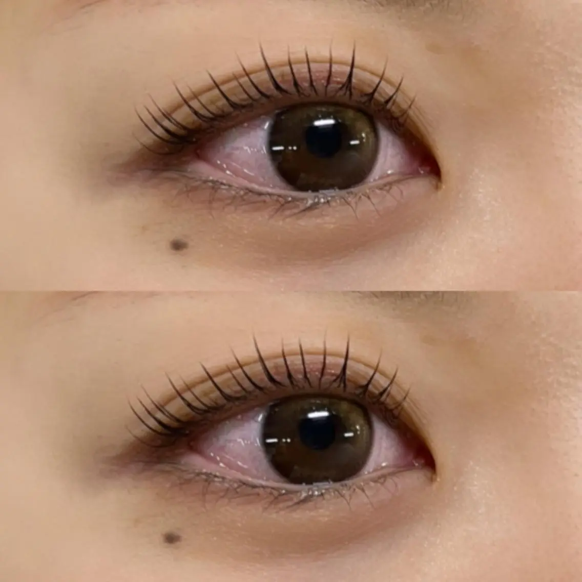 マツエク・マツパ パリジェンヌラッシュリフト eyelist RENA🐩♡のマツエク・マツパデザイン