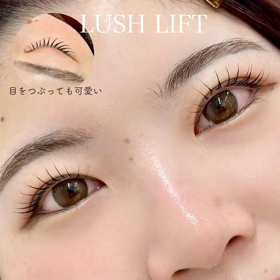 🐆上まつげパーマ＋コーティング美容液¥6400🐆の写真