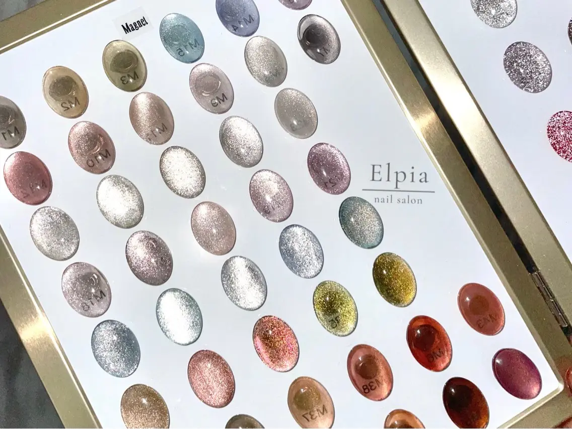 ネイル マグネットネイル Elpia🤎 nail salonのネイルデザイン