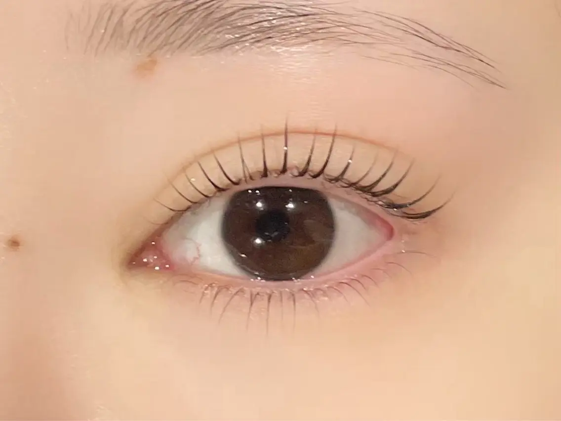🌼🫧下のみまつ毛パーマ🫧🌼の写真