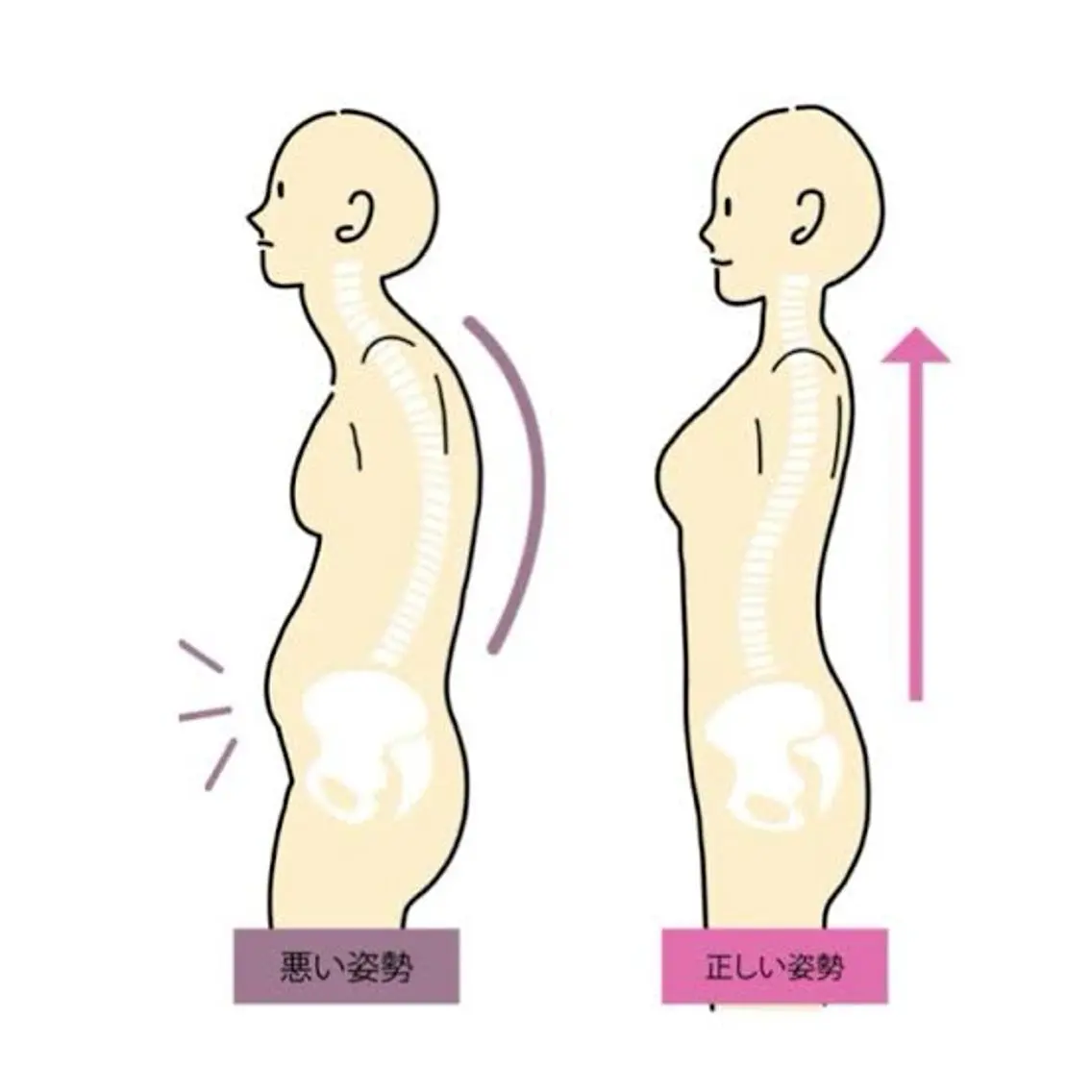 オープン記念🌈国資格保持者🌈最強‼️【超✨猫背改善】背中美人＊矯正🙆‍♀️の写真