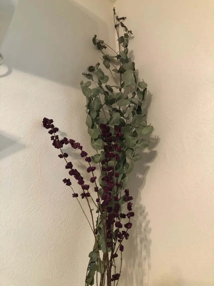 温活リンパサロン芍花 しゃっかのエステ・リラクイメージ
