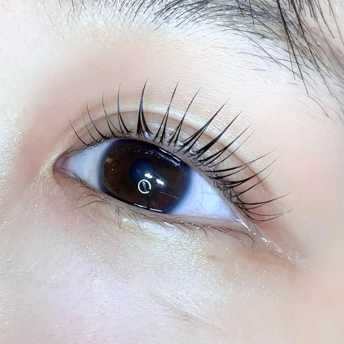 マツエク・マツパ ella eyelashのマツエク・マツパデザイン