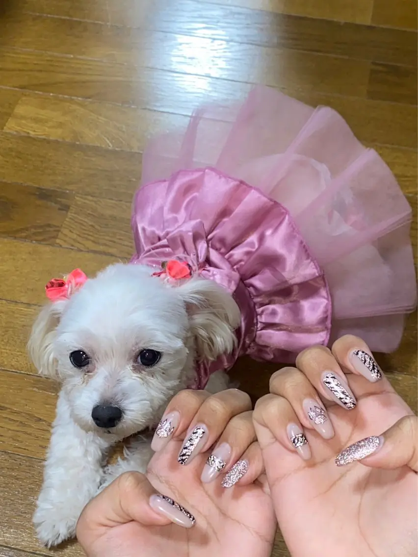 ネイル LAVISH 大和店 emi･:*+のネイルデザイン