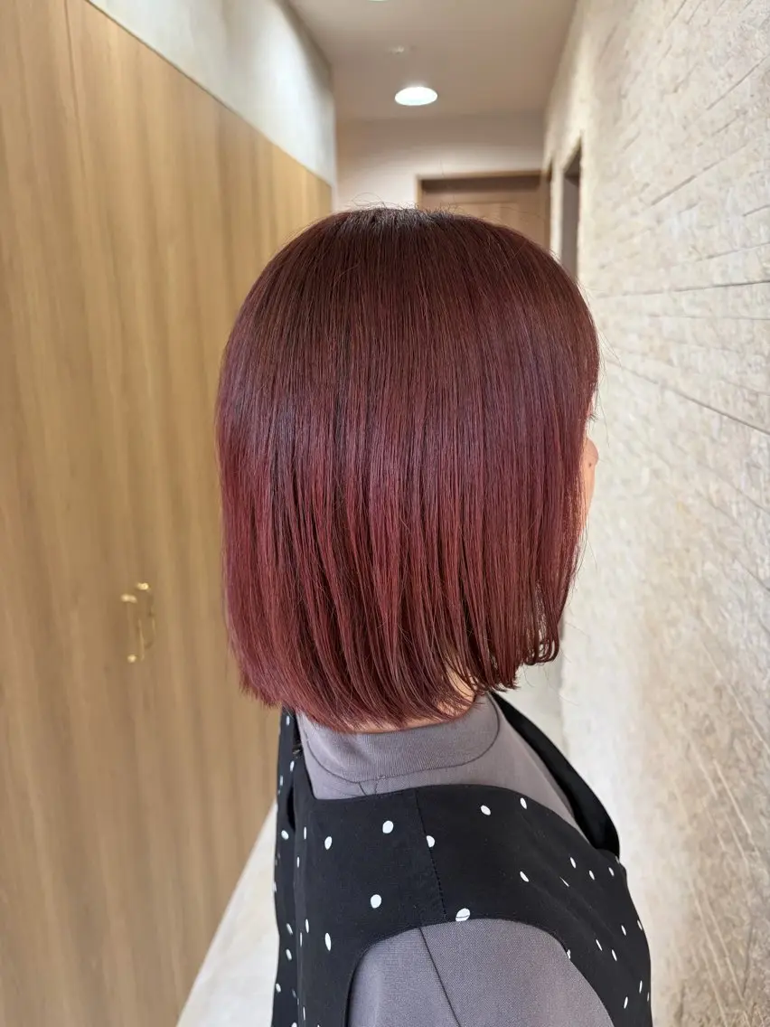 ショート カラー ボルドーカラー ボブ カット ヘアカラー 暖色￤韓国￤ボブ 🍒Akane🍒のヘアスタイル