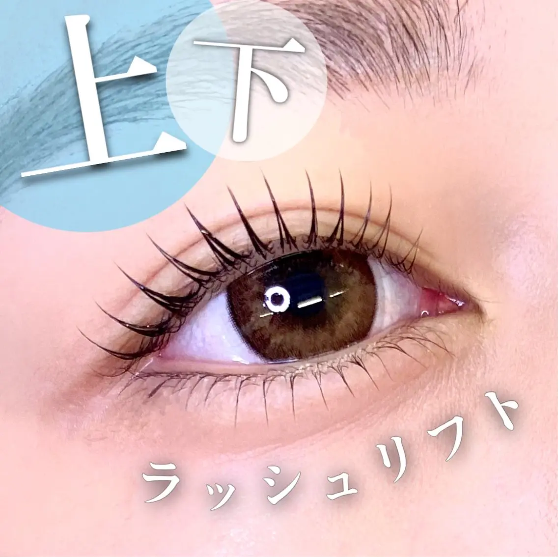🐈‍⬛上下ブラックティントパーマ🐈‍⬛の写真