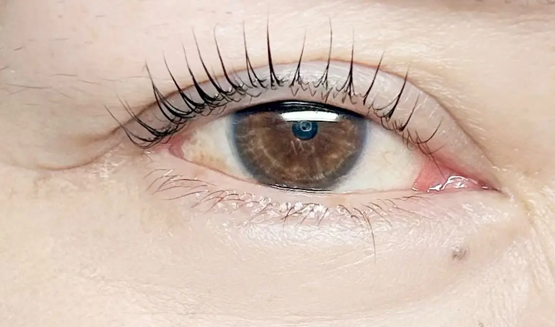 マツエク・マツパ パリジェンヌラッシュリフト bloom lash 丸山恵梨のマツエク・マツパデザイン